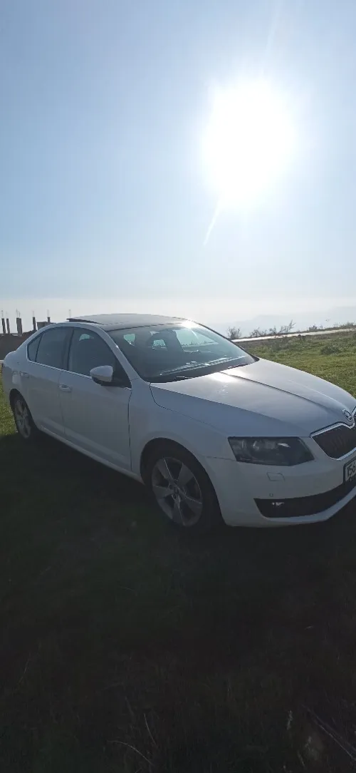 Skoda Octavia 2014 Ambiente