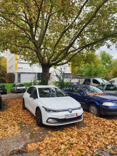Volkswagen Golf 8 2024 Style
