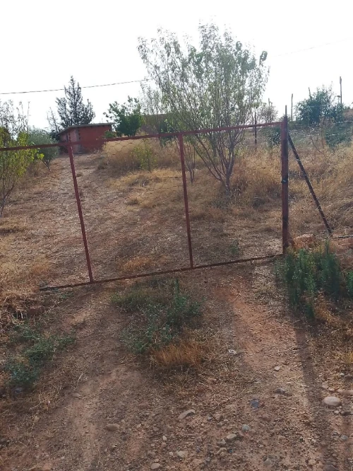 Vente Terrain Agricole Mascara Hachem 4
