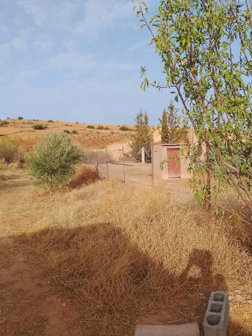 Vente Terrain Agricole Mascara Hachem 5