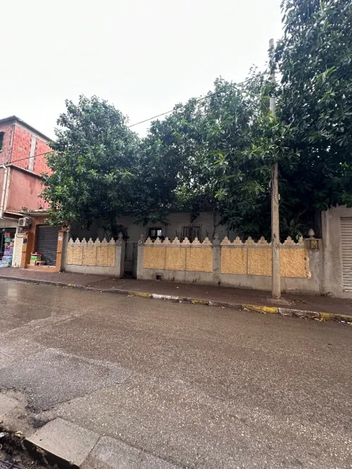 Vente Terrain Blida Blida