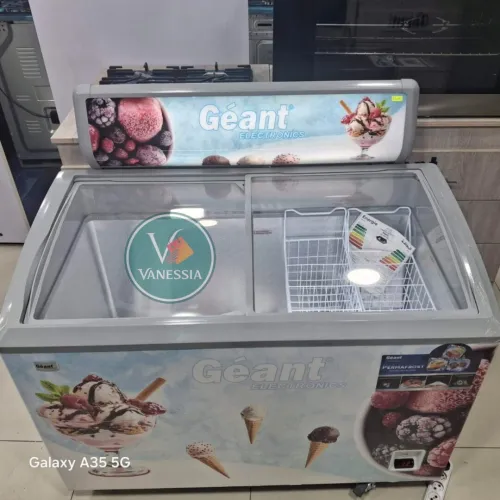 Congélateur Présentoir Marque Géant 353L