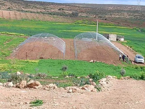بيوت بلاستيكية لتربية دواجن