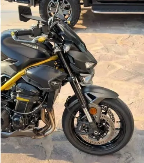 Kawasaki Z900 2026