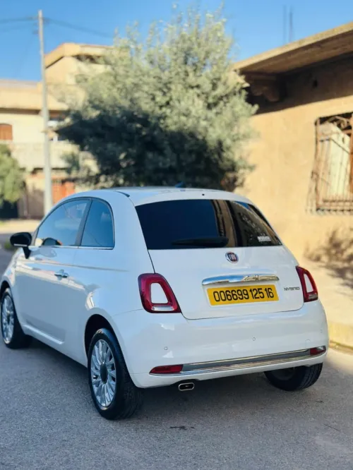 Fiat 500 2025 