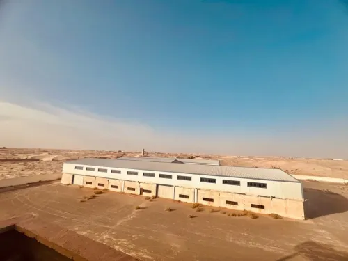 Vente Hangar - Usine El Oued Kouinine