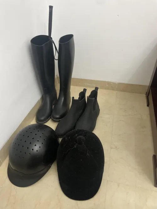Équipement équitation