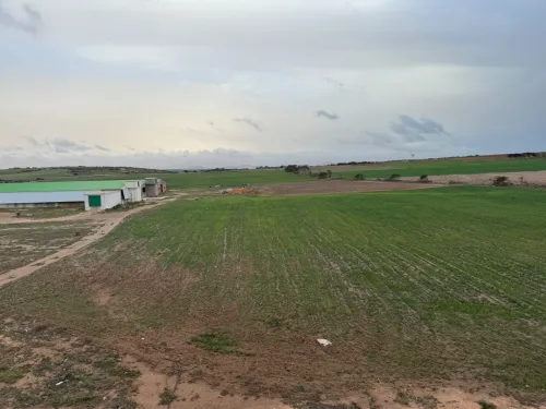 Vente Terrain Agricole Aïn Témouchent Bou zedjar