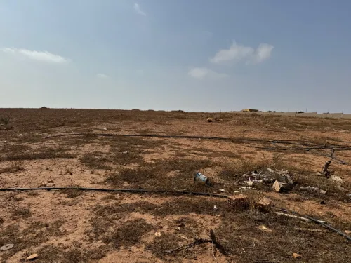 Vente Terrain Oran Bethioua