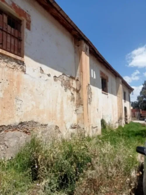 Vente Hangar - Usine Tipaza Attatba