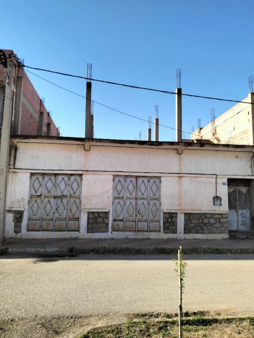 Vente Local Aïn Témouchent El amria