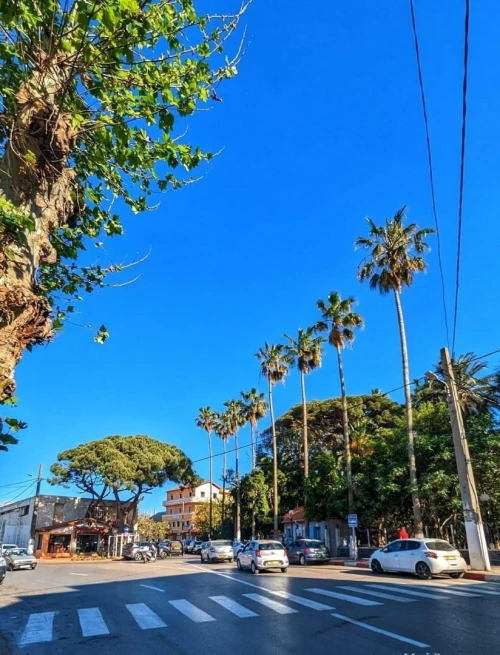 Location Niveau De Villa F2 Alger Ain taya