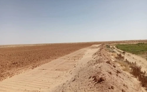 Vente Terrain Agricole Biskra Oumache
