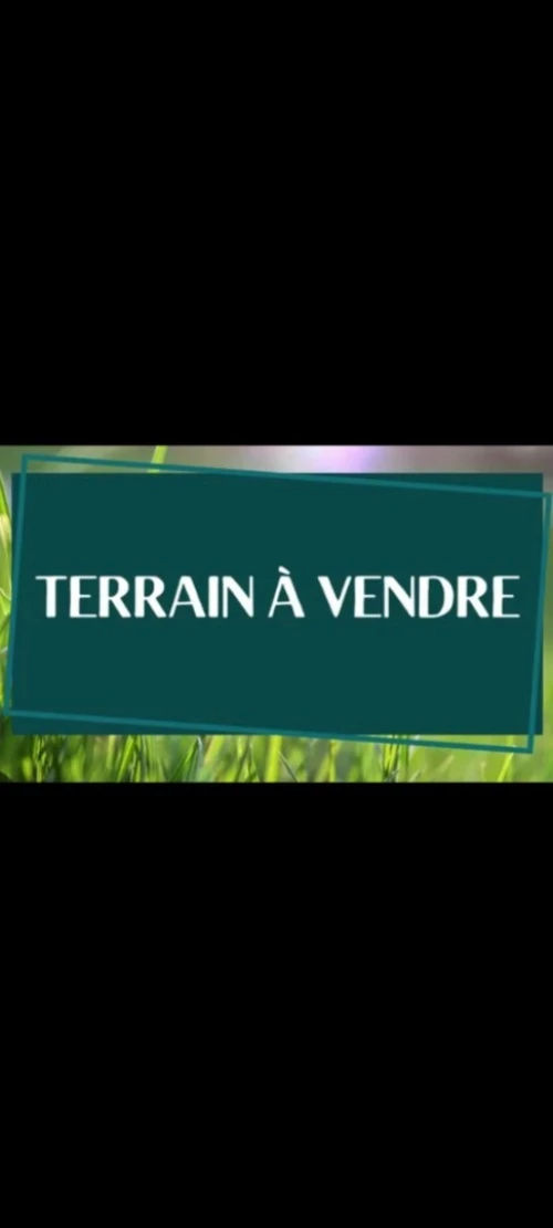Vente Terrain Alger Birkhadem
