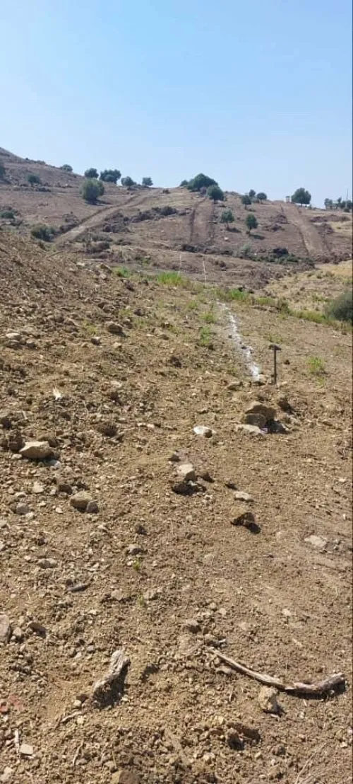 Vente Terrain Jijel El aouana
