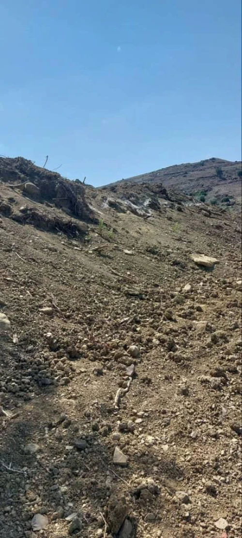Vente Terrain Jijel El aouana