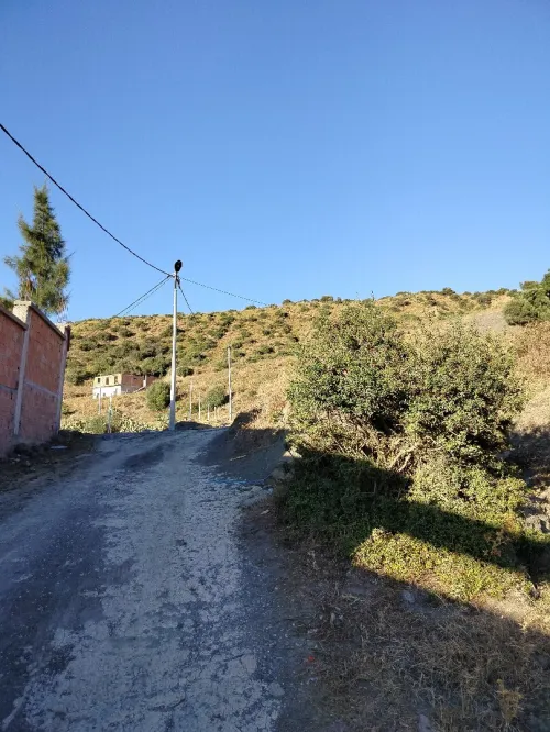 Vente Terrain Blida Djebara