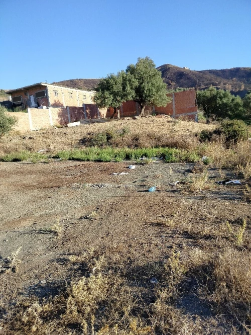 Vente Terrain Blida Djebara