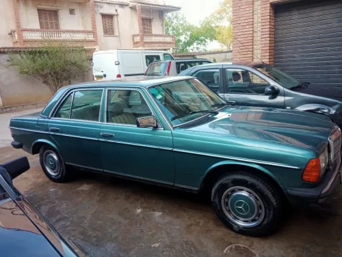 Mercedes W123 1983 
