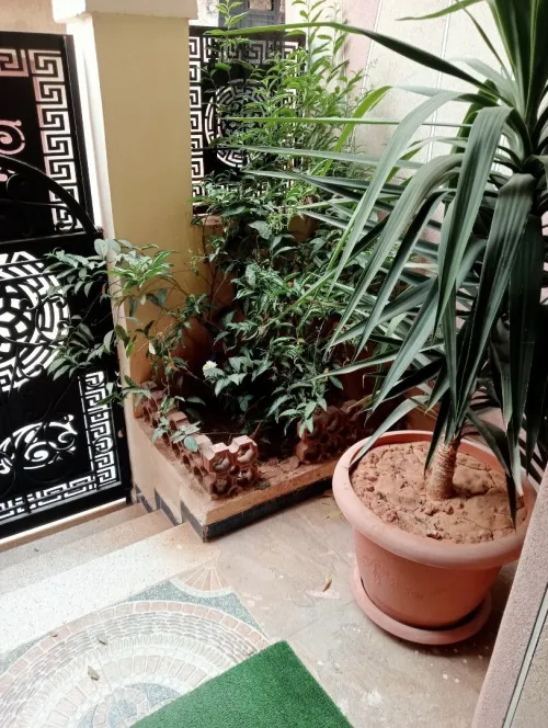 Vente Villa Tlemcen Maghnia