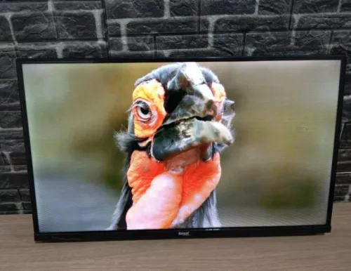 Téléviseur +support+démo