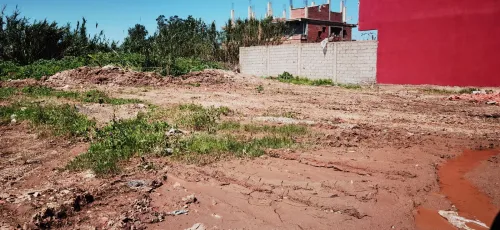Vente Terrain Boumerdès Hammedi
