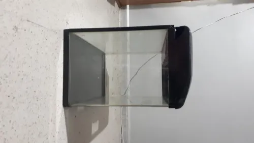 Aquarium importation 58cm