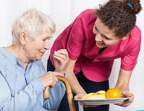 aide à domicile /auxiliaire de vie/aide personne âgée ; handicapées/garde malade/infirmière/Nourrice