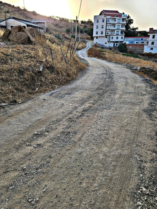 Vente Terrain Medea Medea
