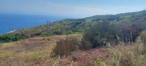 Vente Terrain Tipaza Tipaza