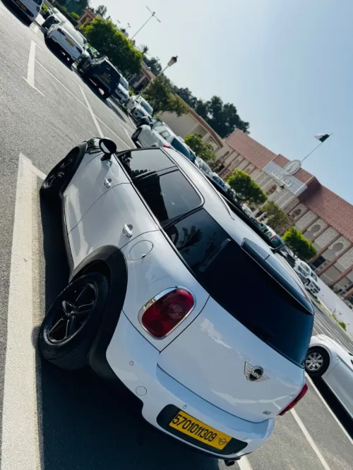 Mini Mini 2013 