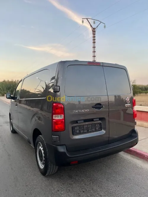 Fiat Scodu 2024 