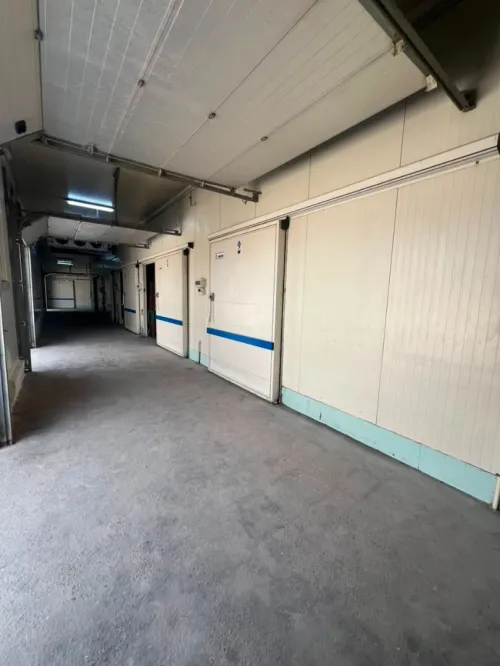 Location Hangar - Usine Alger Oued smar