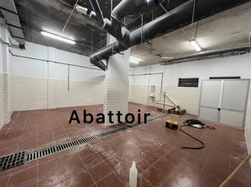 Location Appartement F4 Alger Cheraga