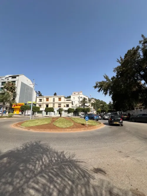 Location Local Alger Hydra