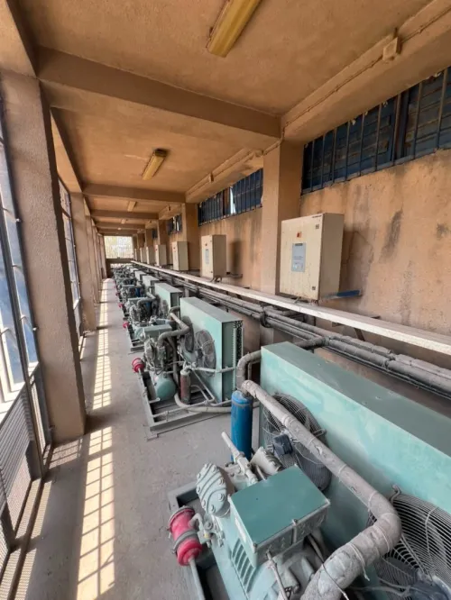Location Hangar - Usine Alger Oued smar