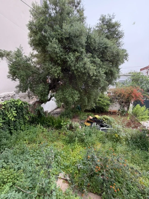 Vente Villa Alger Hydra