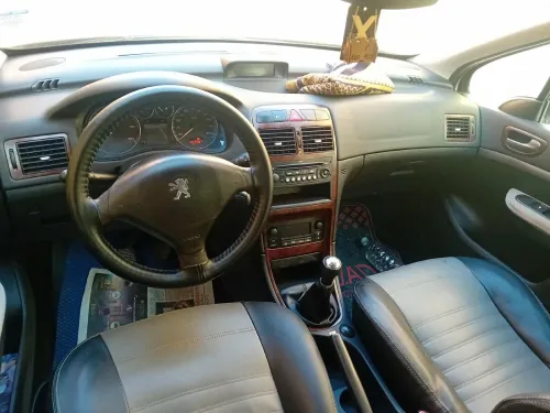 Peugeot 307 2006 Oxygo