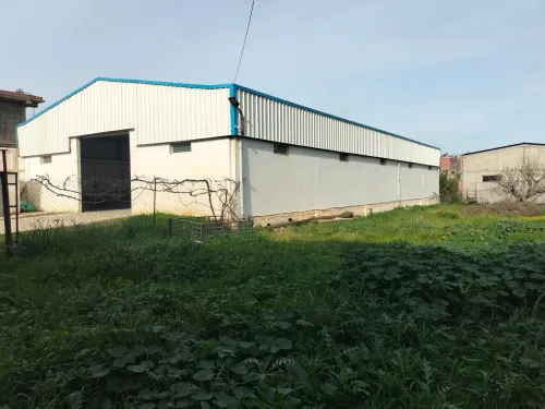 Location Hangar - Usine Blida Ouled selama