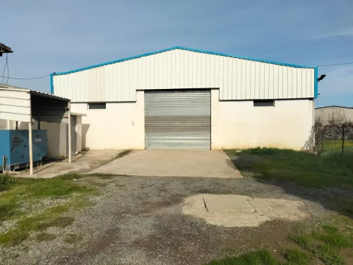 Location Hangar - Usine Blida Ouled selama