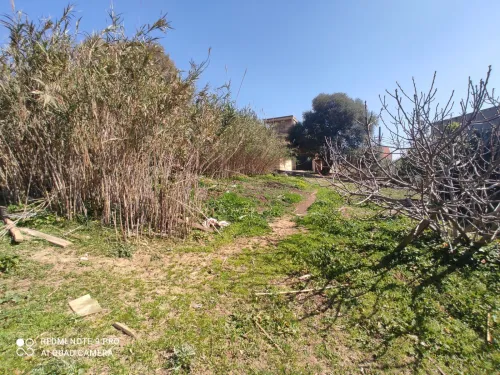 Vente Terrain Alger Douera