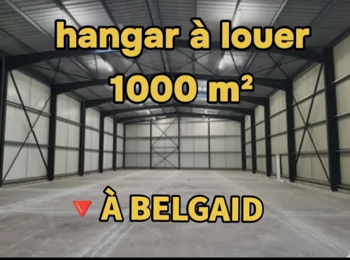 Location Hangar - Usine Oran Bir el djir