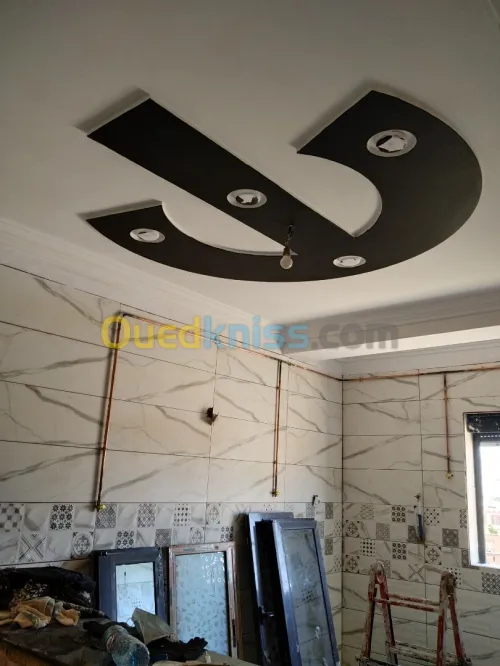 Plâtrier Et Décoration En Platre