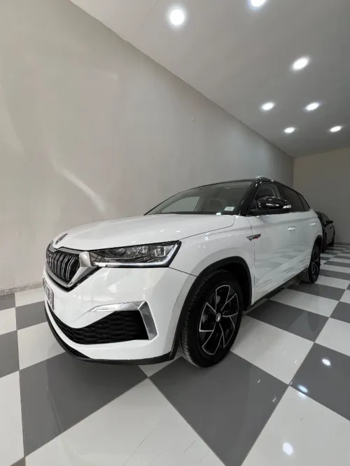 Skoda Kamiq 2024 Gt