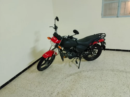 vms c-light 2024