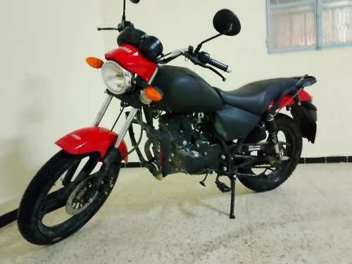 vms c-light 2024