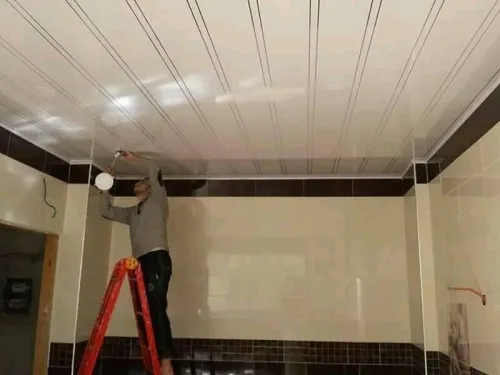 PLAFONDS PLACO PLATRE PVC