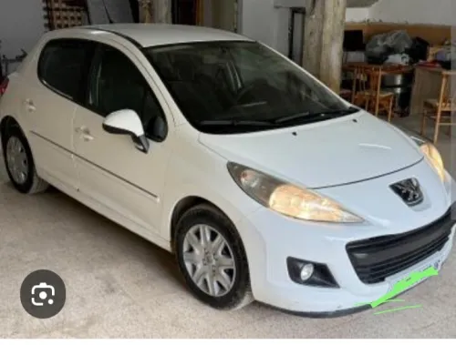 Peugeot 207 2012 Fennec
