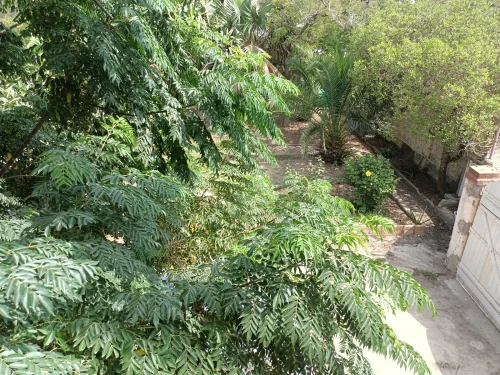 Vente Villa Alger Bordj el bahri