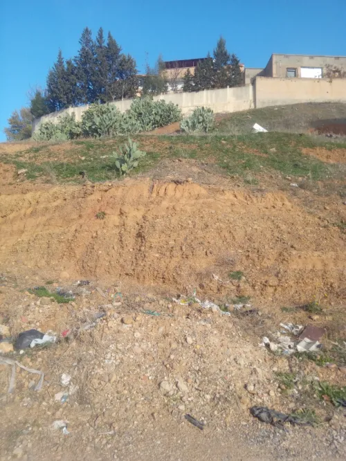 Vente Terrain Bouira Bouira
